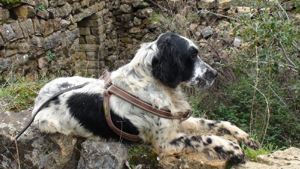 Jack Foto 7